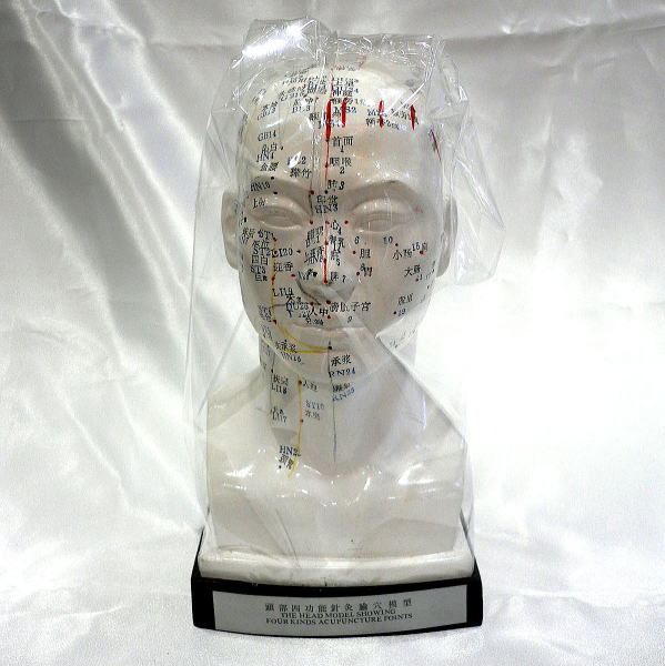 頭部針灸模型